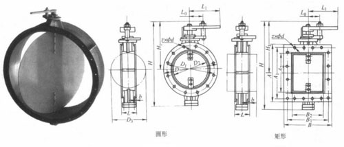 D41W-0.5CʽԲηṹҪμṹߴ